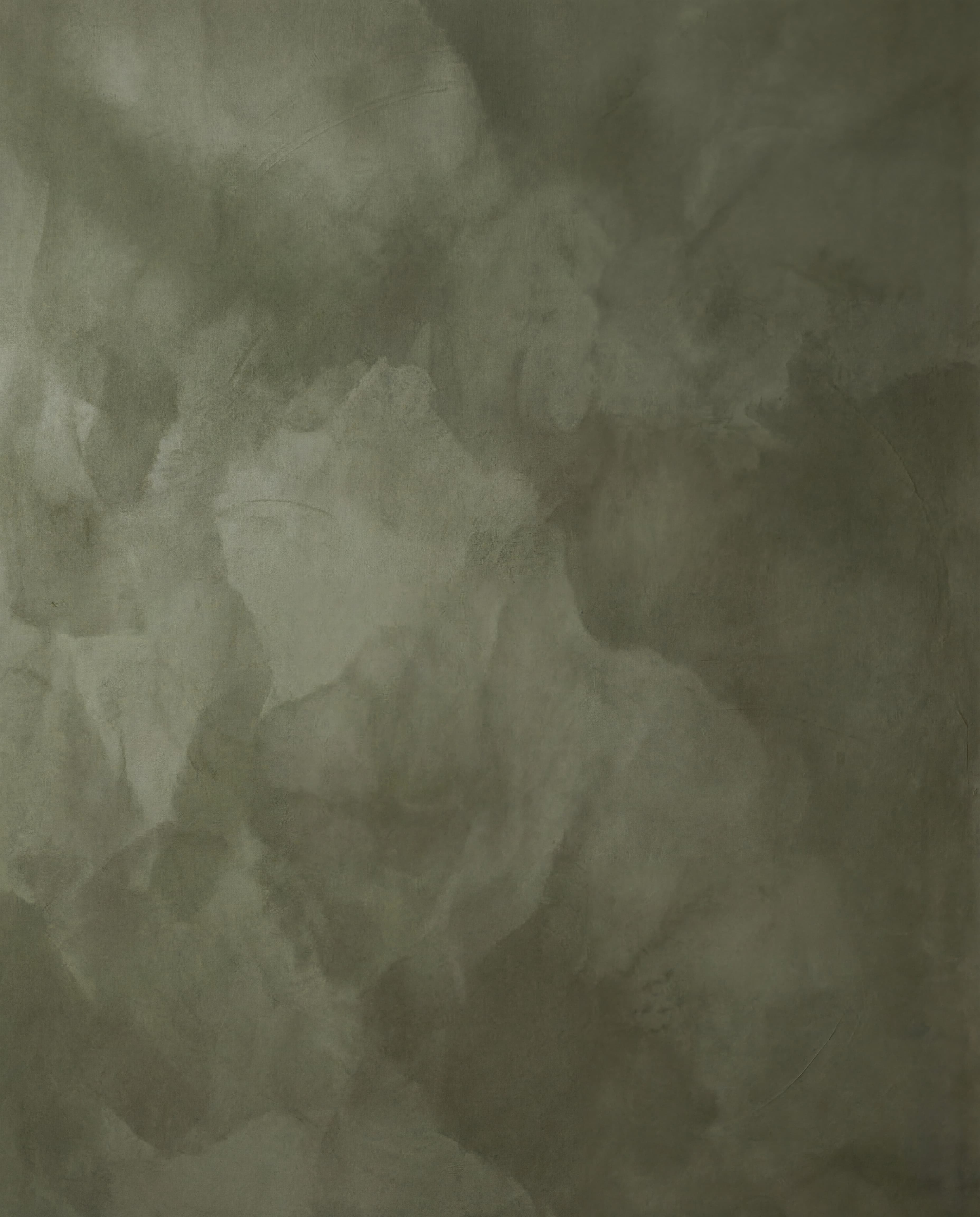 Limewash — Oliva (Olive Green)