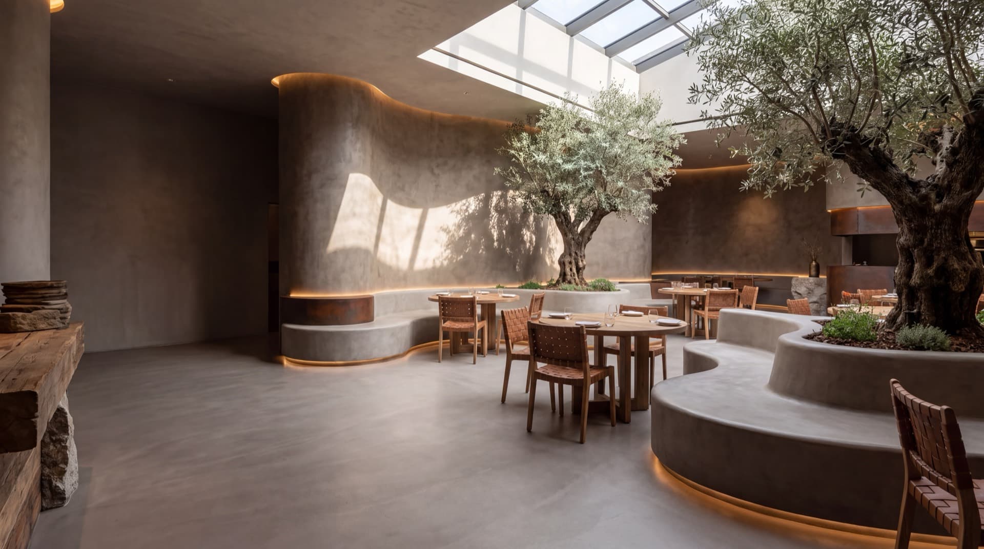 Courtyard restaurant — olive trees in microcement planters — concept visualization
