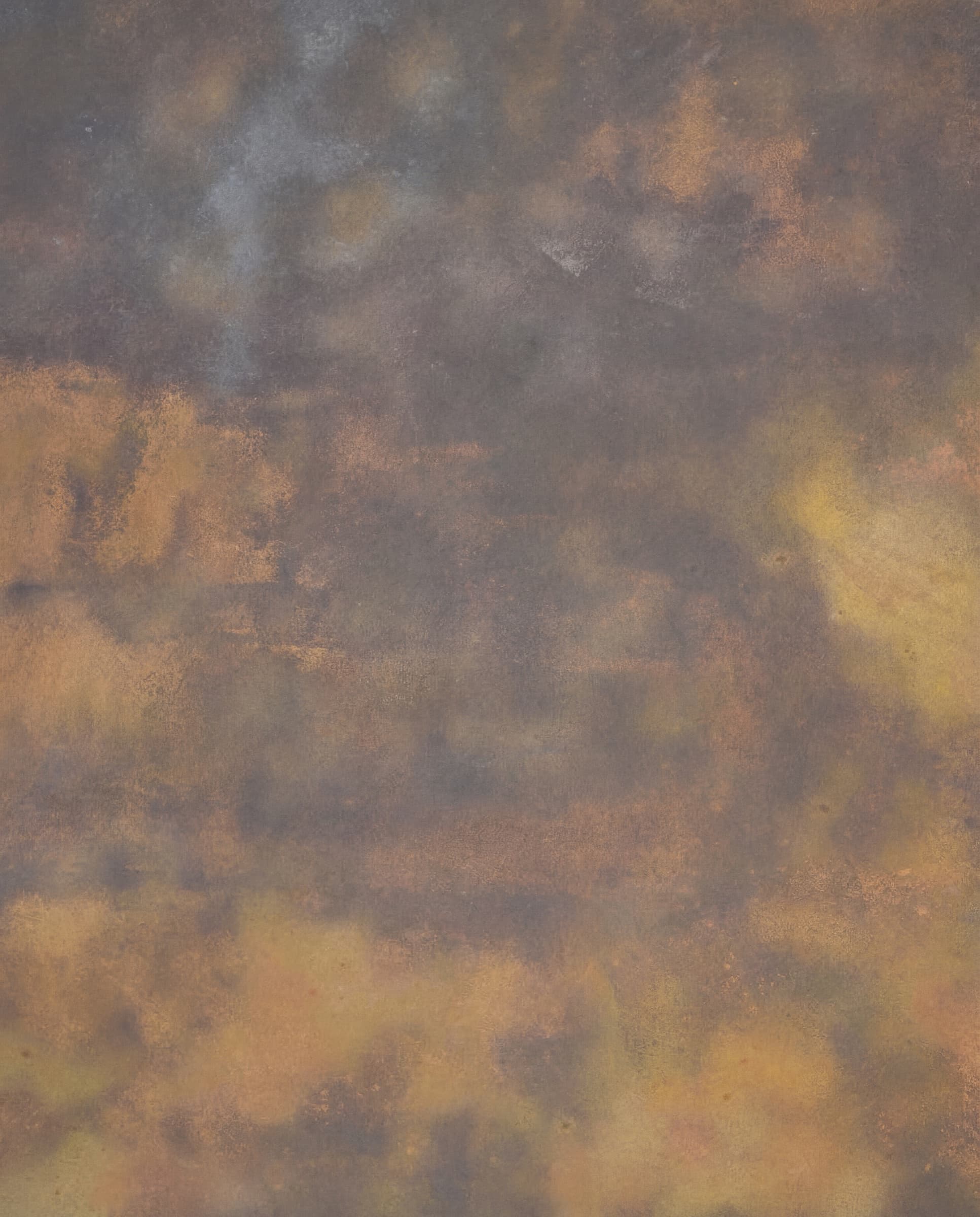 Wild Rust Iron color swatch