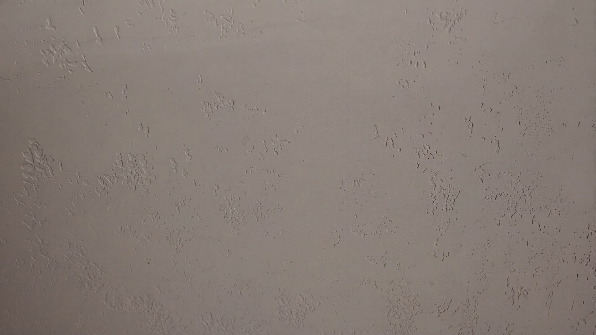Cementius Pasta