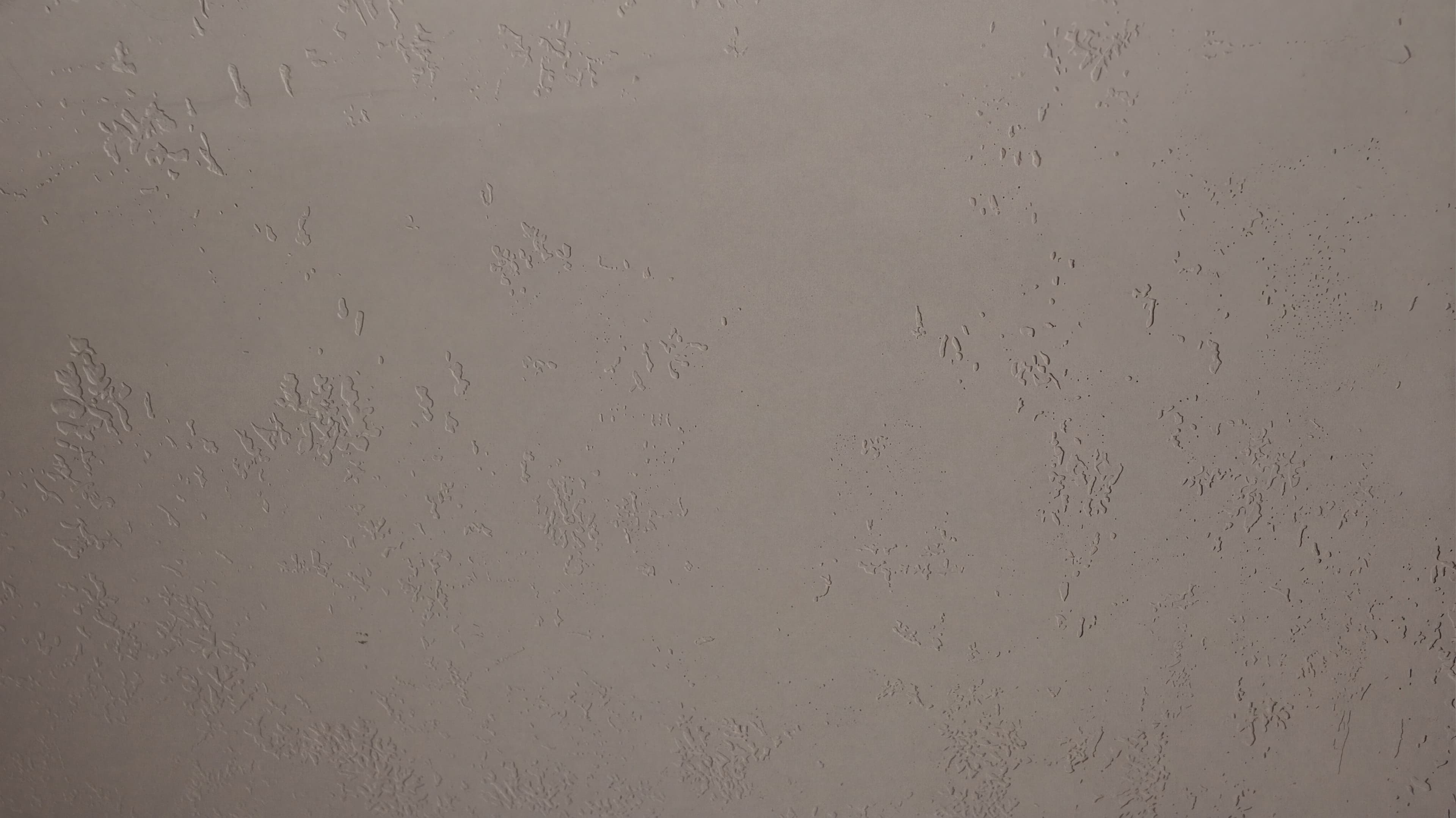 Cementius Pasta